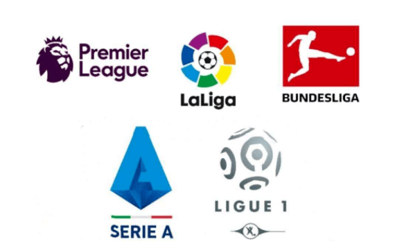 歧导致合同 歧导致合同